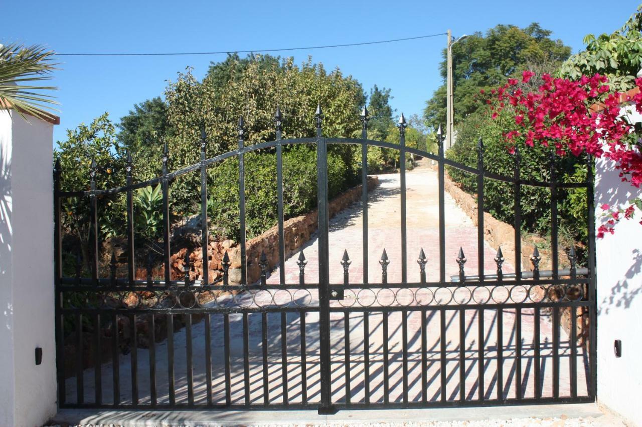 Quinta Teresinha Casa de hóspedes Silves Exterior foto