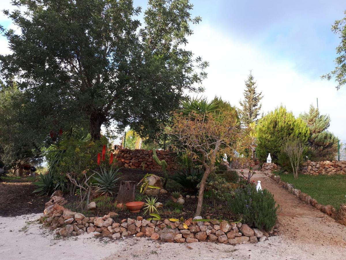 Quinta Teresinha Casa de hóspedes Silves Exterior foto