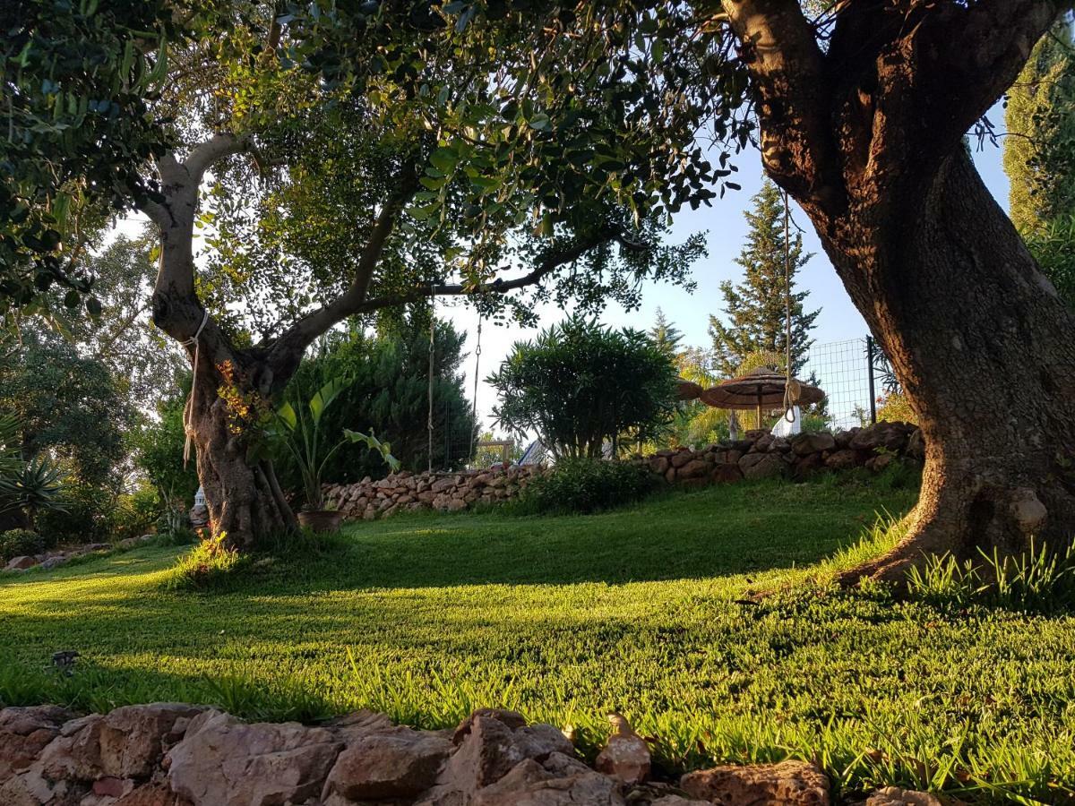Quinta Teresinha Casa de hóspedes Silves Exterior foto